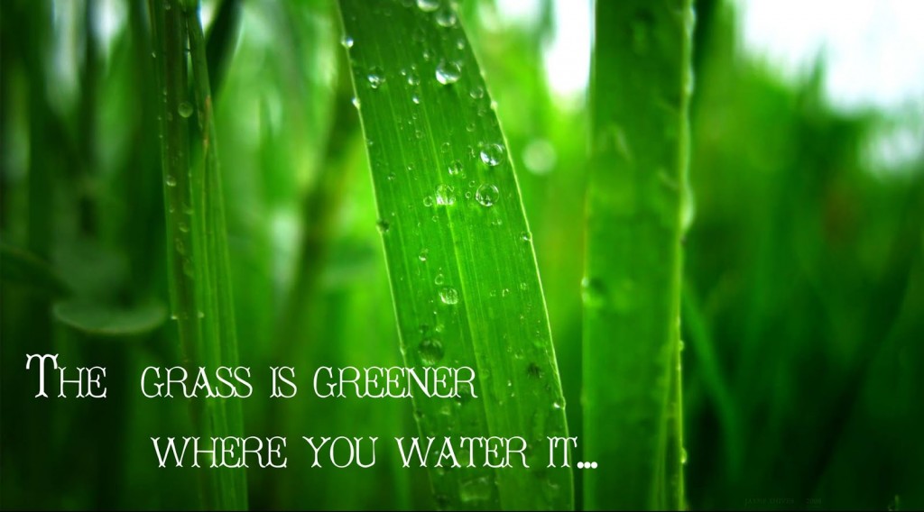 BrotherWord - The Grass Is Greener